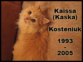 Alexandra Kosteniuk's cat Kaissa died today