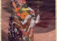 Shakhmatnaya Nedelia  (June 2005, Russian)
